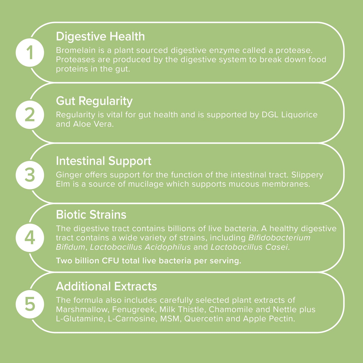 Gut Health - Award-Winning Supplement
