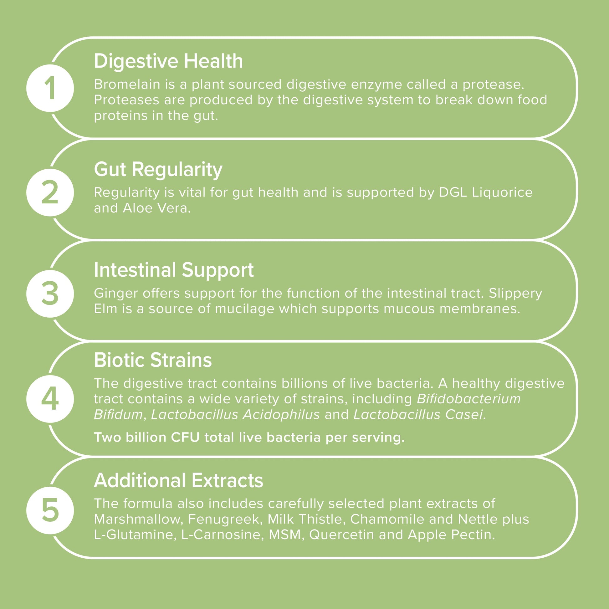 Gut Health - Award-Winning Supplement